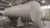 Ёмкость Горизонт. V-50м3