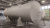 Ёмкость Горизонт. V-50м3